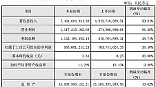 大华股份半年报营业收入74.65亿元 营业利润同比翻倍