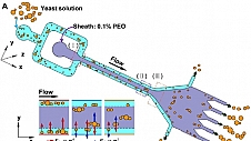 微纳器件光刻好助手——MicroWriter ML3