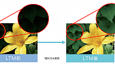 赋能远程办公协同，理光360°全景会议系统打造身临其境视频会议体验